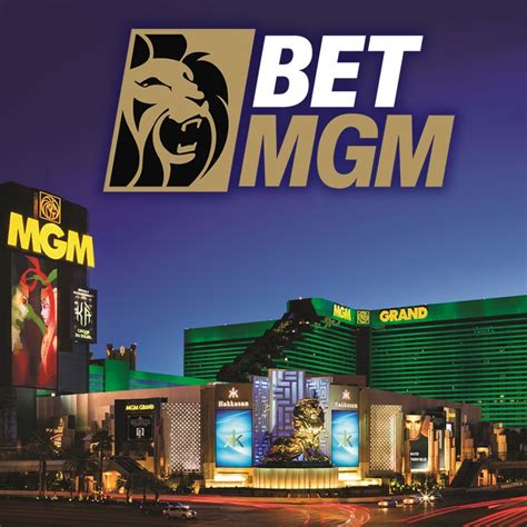 betmgm net worth|MGM Resorts' (MGM) BetMGM Revenues Increase Y/Y in 2023.